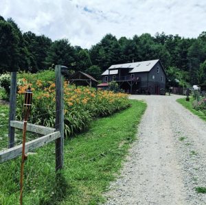 a path with trees on the side of a fence