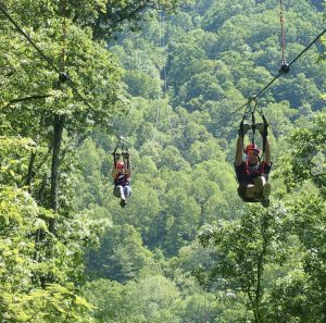 a group of people in a forest